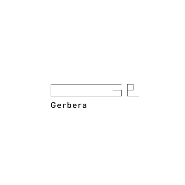 Gerbera